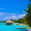 Maldivy
